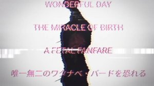 Бойлд(Варёный) Edit