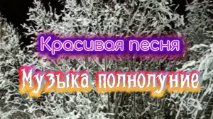 Красивая душевная песня МУЗЫКА ПОЛНОЛУНИЕ