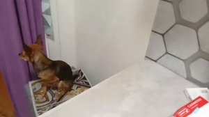 много мелких дел/ ужин у Ладки по расписанию/ наготовила