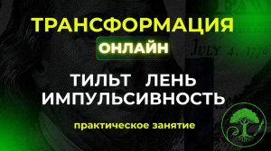 Трансформация online. Бесплатный курс по трейдингу. Бонусная встреча. 21.10.24