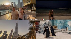 ВЛОГ/ ПОЕЗДКА В ДУБАЙ И АБУ-ДАБИ/ КРУПНЕЙШИЙ МОРСКОЙ ПАРК В МИРЕ