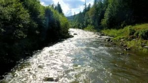 А я еду за туманом