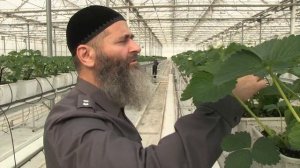 УТРО ИНГУШЕТИИ  191125