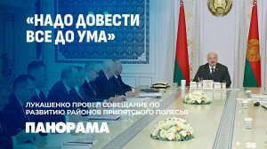 Лукашенко: мы должны думать, хватит ли денег. Совещание по развитию районов Припятского Полесья