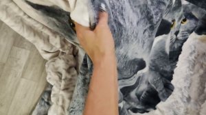 День рождения полиночки😍🌹