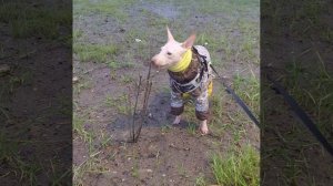 Ура, растаяло!