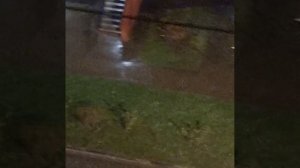 ❄️В Москве и Подмосковье ухудшается погода❄️