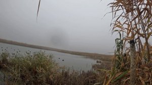 Охота на утку.🦆🦆🦆