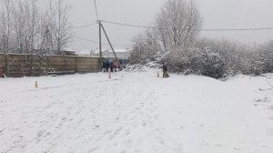 7.  выражено/перв STRONG END SOFT HANTA (Ромео из Новой Сибири – Strong End Soft Loren)