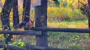 Альберт Громов - Не возвращайтесь никогда. Вот это ПЕСНЯ!