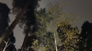 НОЯБРЬСКИЙ РОМАНС