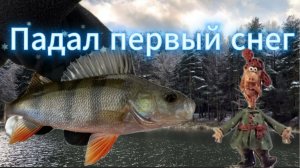Рыбалка в тишине первого снега: окунь на микроджиг