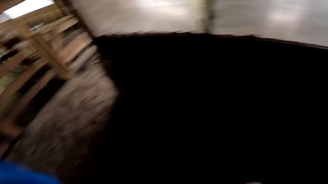 Кого родила овца ? Приручаю фазанов ! ХУТОР В ЛЕСУ №880 смотреть онлайн