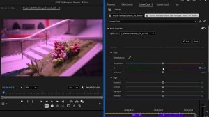 56 Adjusting Color with the Lumetri Color Panel