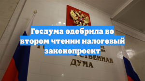 Госдума одобрила во втором чтении налоговый законопроект
