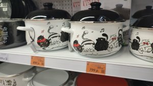 Поездка в город.Часть 2: магазин Логос и Галамарт. Чистка снега. Дневник за 18 ноября 2025 год