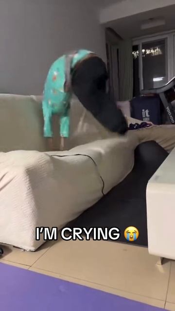 Страшно, мы не знаем что это такое