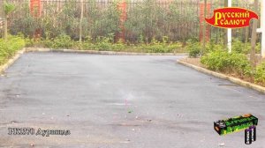 РК1370 Петарда "Дурында " 1шт.