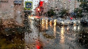 Аномальный ноябрь в Москве: циклон принес ливни и рекордное тепло