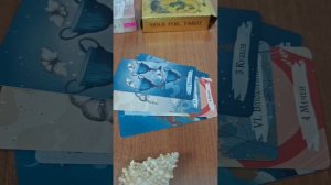 😲🔀 Новички в эзотерике - 3 варианта