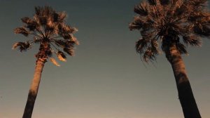 DJI Osmo Pocket 3   Your travel vlog deserves cinematic vibes