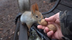 Балерина. Зарисовка