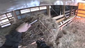 Потери в хозяйстве ! Мама уезжает ! Овчарня готова ! ХУТОР В ЛЕСУ №873