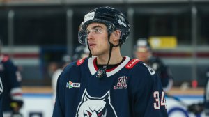 Автомобилист - Нефтехимик. Обзор матча КХЛ 18.11.2025