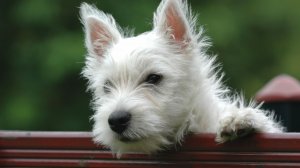 Еще немного от меня информации и маленькая практика.