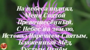 Блаженный Мёд, Густым Огнём на землю изливался! (Псалом) БОЖИЙ КАНАЛ: Игорь Роменский Пророческое сл