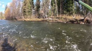 ШОК! Рыбак остался без рыбы на горной Реке😀😖😱🐟 Рыбалка на Хариуса пошла не по плану)))...