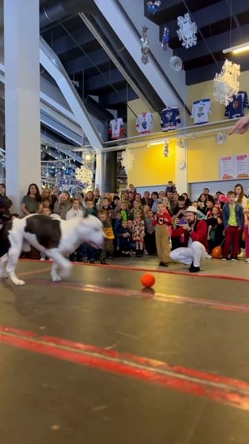 Выступление. смотреть онлайн