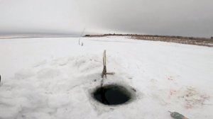 Рыбалка у чёрной дыры. Ловля налима на Енисее. Седьмая серия.