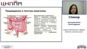 Пищеварительная и выделительная системы