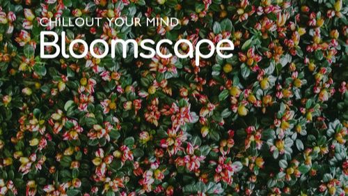 VA - Bloomscape Chillout Your Mind (2025)