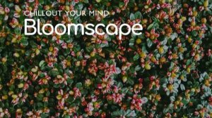 VA - Bloomscape Chillout Your Mind (2025)