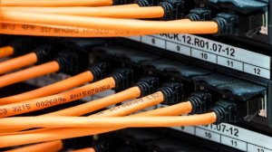 Полиция получит доступ к персональным данным бывших заключенных