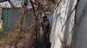 Позавтракали  вкусненько и пошли подрезать виноград 🍇