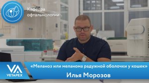 Кафедра Офтальмологии «Меланоз или меланома радужной оболочки у кошек»