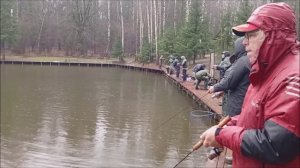 Дождь под утих, а клёв форели продолжал нарастать. Рыбалка на спорт зоне в Клёвом месте лосиный ост