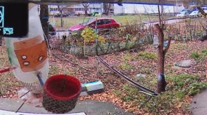 В генеральную прокуратуру РФ Нарушения ПДД и САНПИН