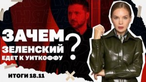 Зачем Зеленский едет к Уиткоффу ? Итоги 18.11