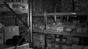 Пример записи Поворотная камера WIFI IP 2Мп 1080P Ps-Link G90C