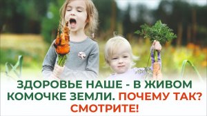 Новый проект Башинкома "Здоровье 800" стало еще ближе и доступнее