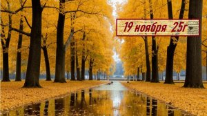 ГОРОСКОП  19 ноября  25г