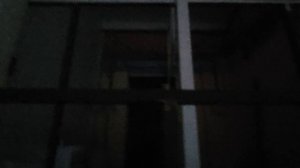 Стерлик внутри 16.11