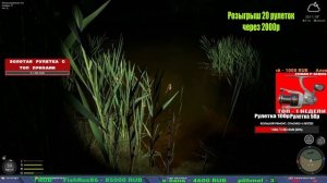 НОВЫЕ ТОЧКИ НА МЕДНОМ В НОРМ ТЕМПЕРАТУРУ? И МОРЕ В РУССКОЙ РЫБАЛКЕ 4 СТРИМ