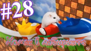 Хомяк в лабиринте (28 серия)