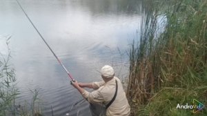 Ловля карпа на кукурузу.