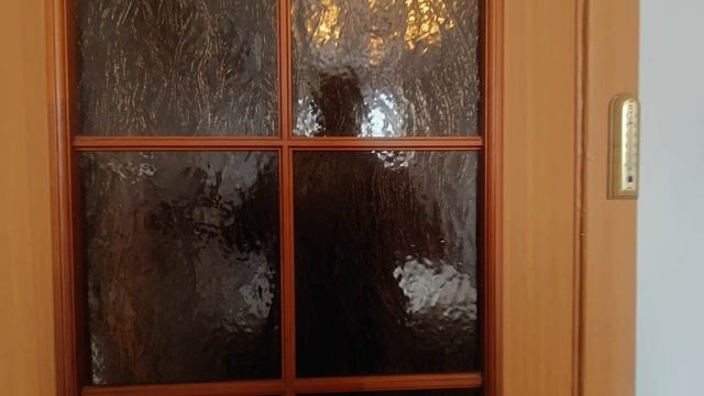 1000068346.mp4 смотреть онлайн